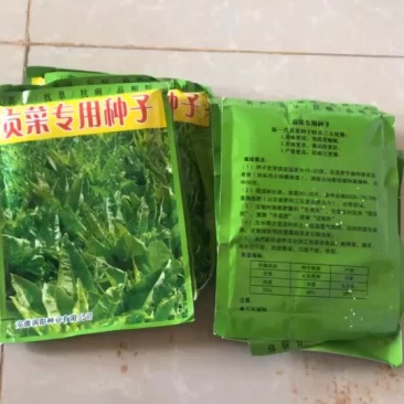 优质贡菜种子，优质高产，优选种子