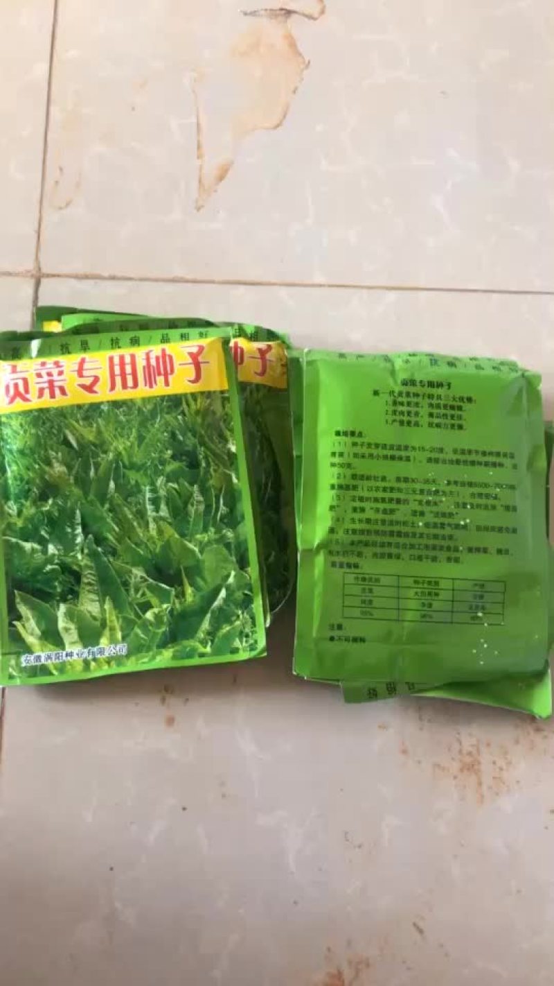 优质贡菜种子，优质高产，优选种子