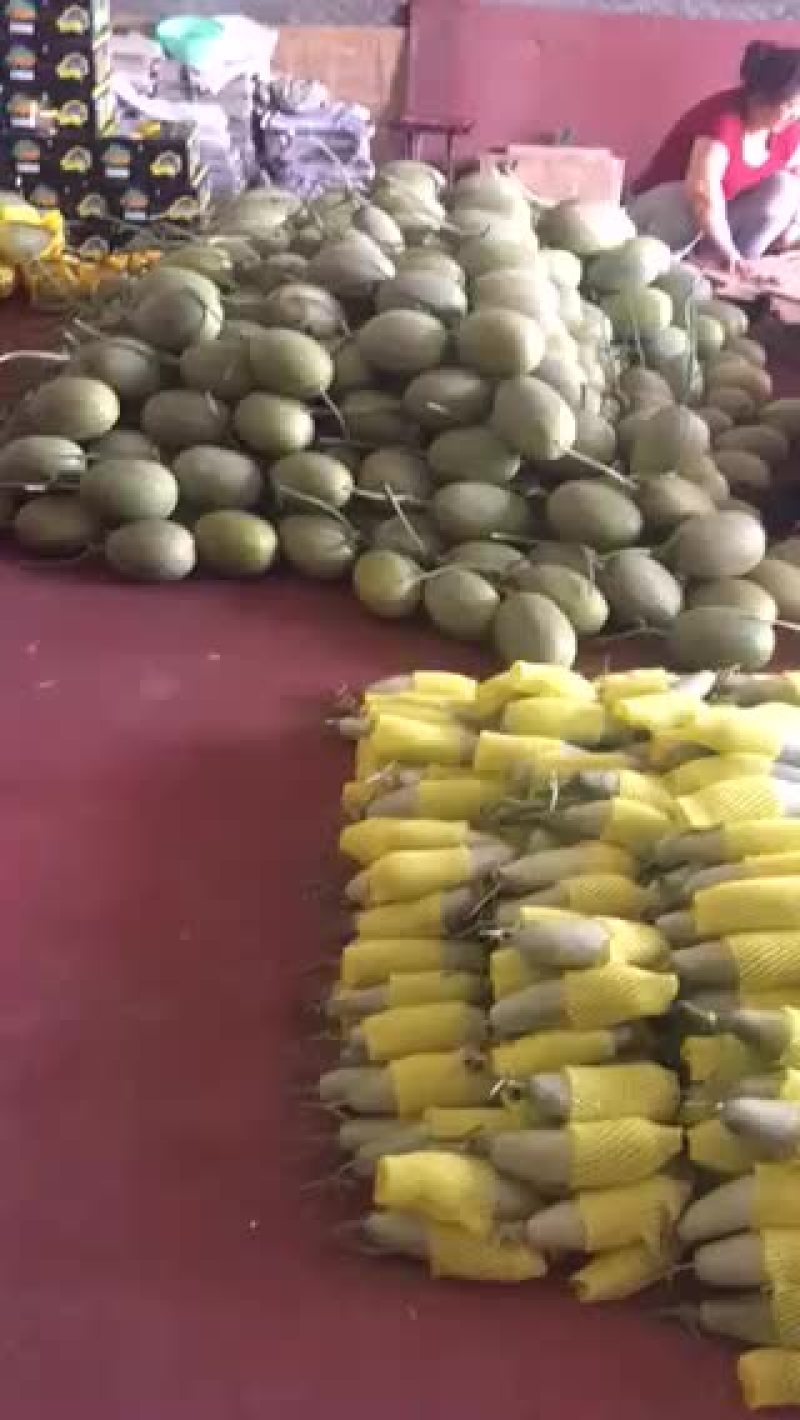 西州蜜，耀龙，耀农，都之果等