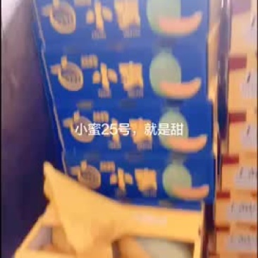西州蜜，耀龙，耀农，都之果等