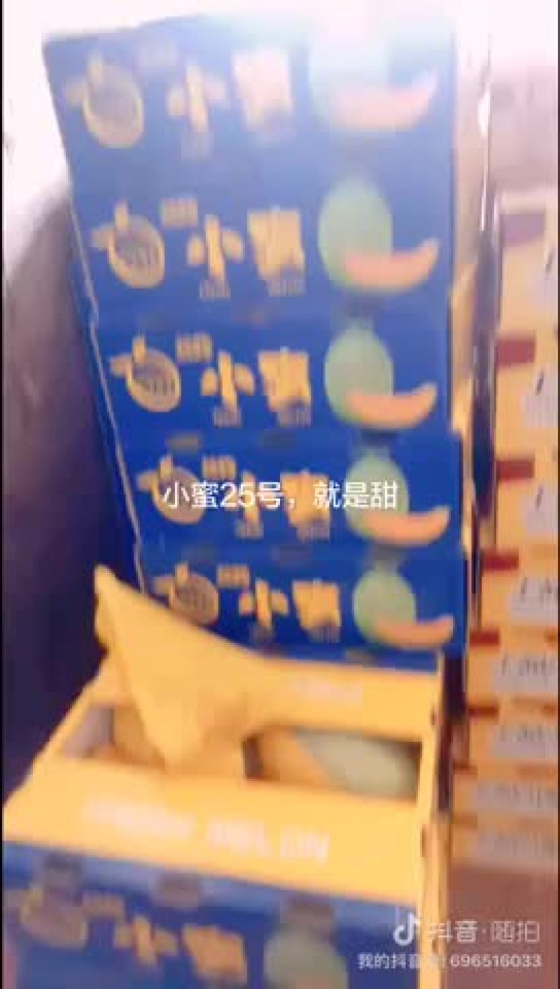西州蜜，耀龙，耀农，都之果等