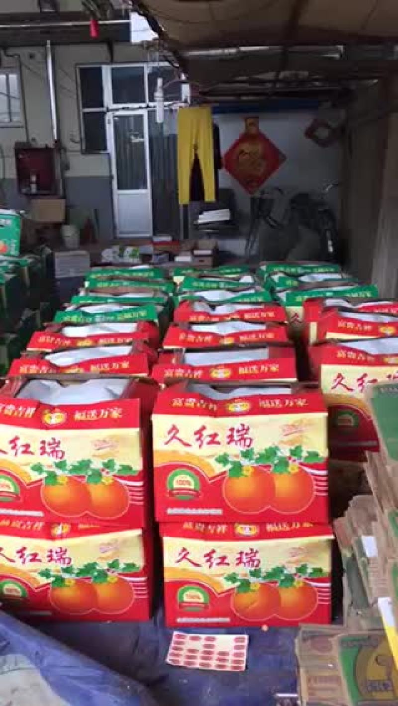 西州蜜，耀龙，耀农，都之果等