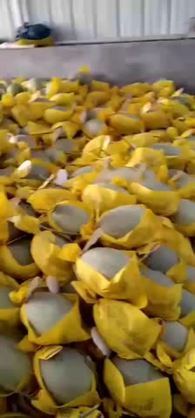 西州蜜，耀龙，耀农，都之果等