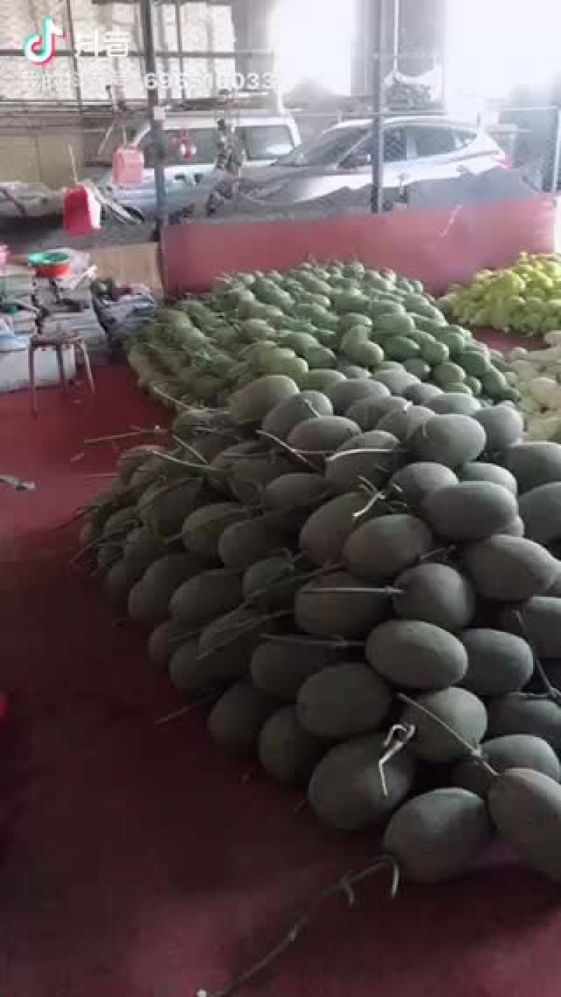 西州蜜，耀龙，耀农，都之果等