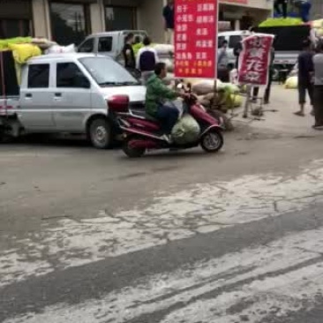 黄花菜