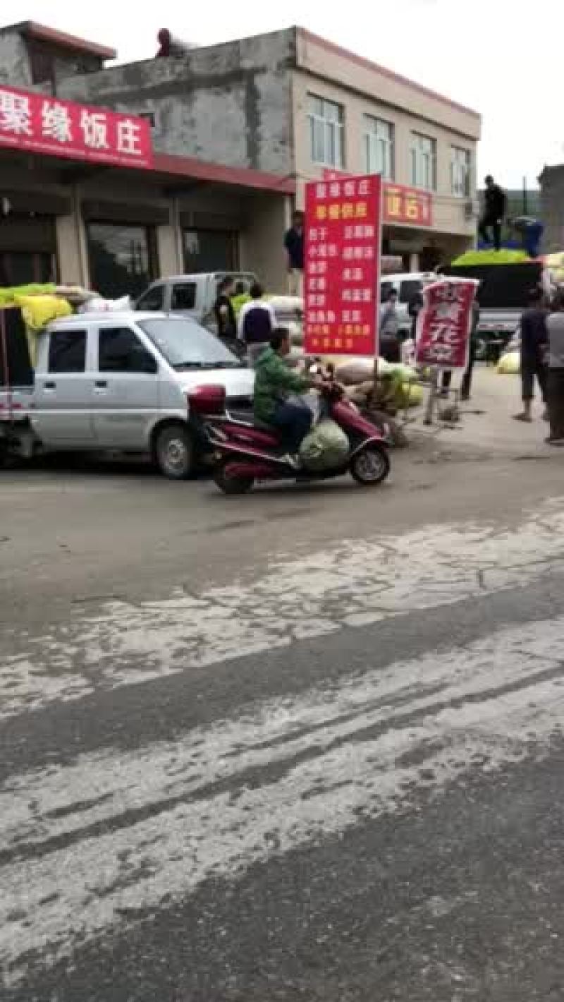 黄花菜