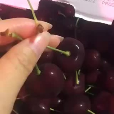 美国车厘子