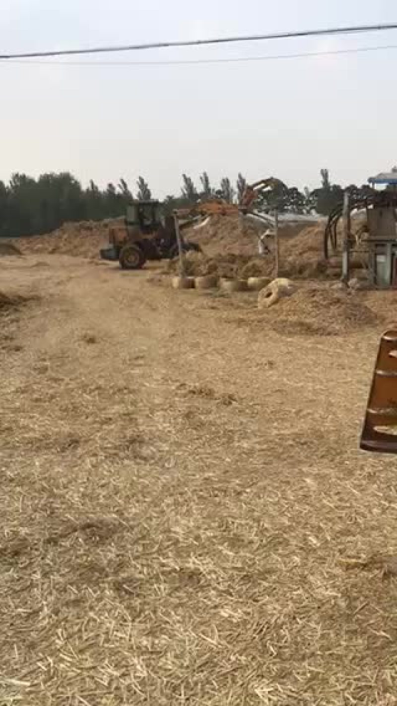 小麦秸秆