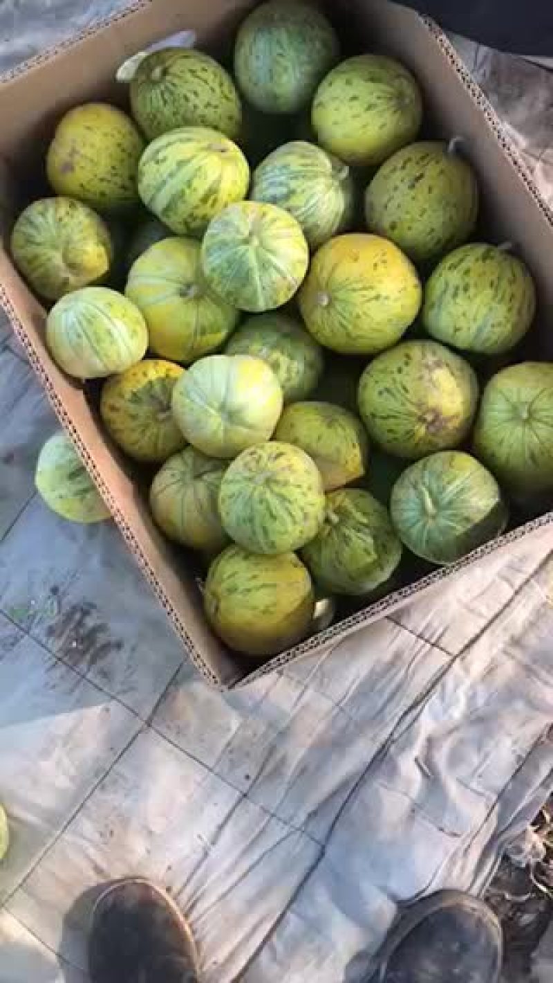 头茬八里乡