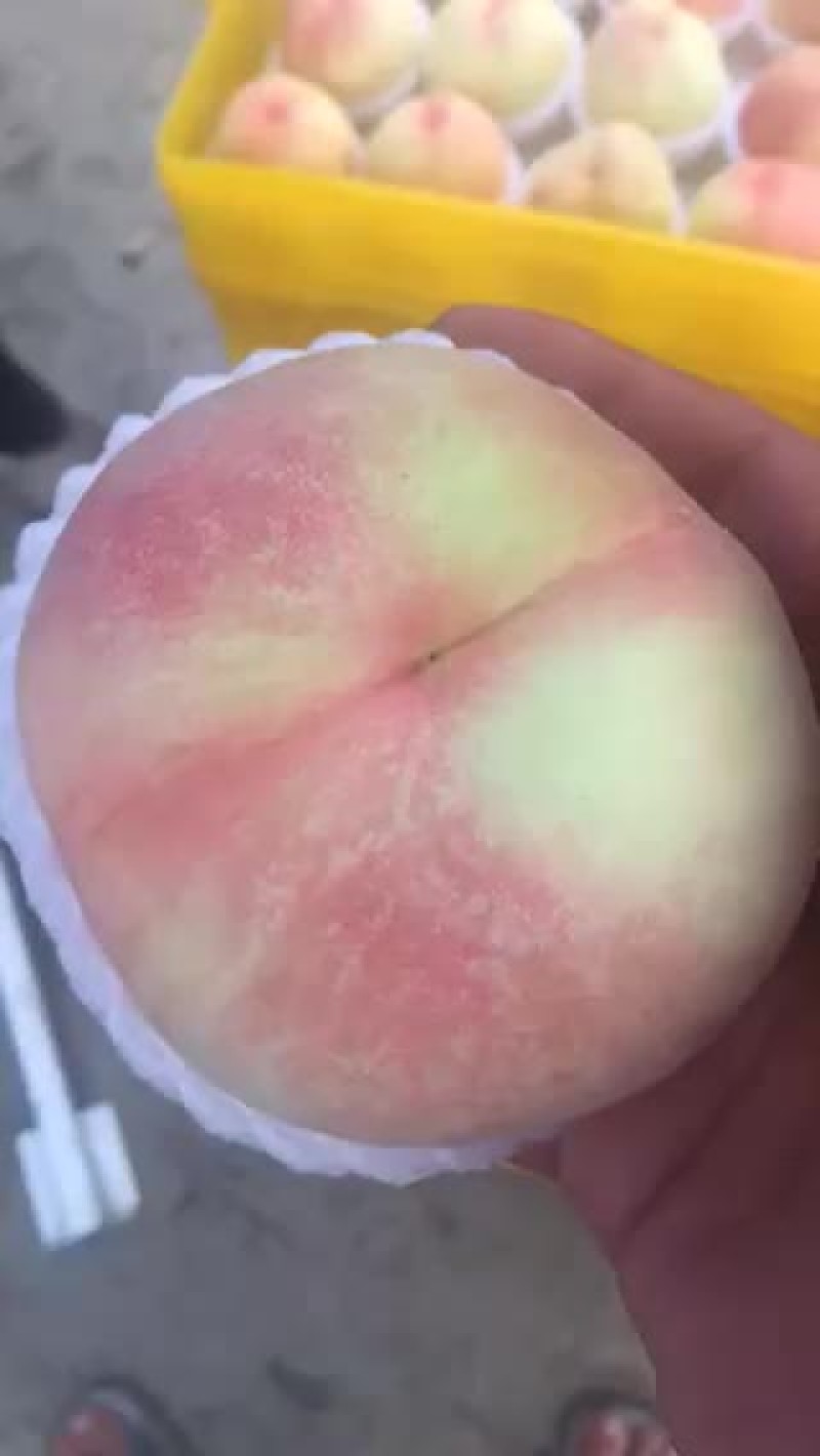 阳山水蜜桃产地直销量大从优