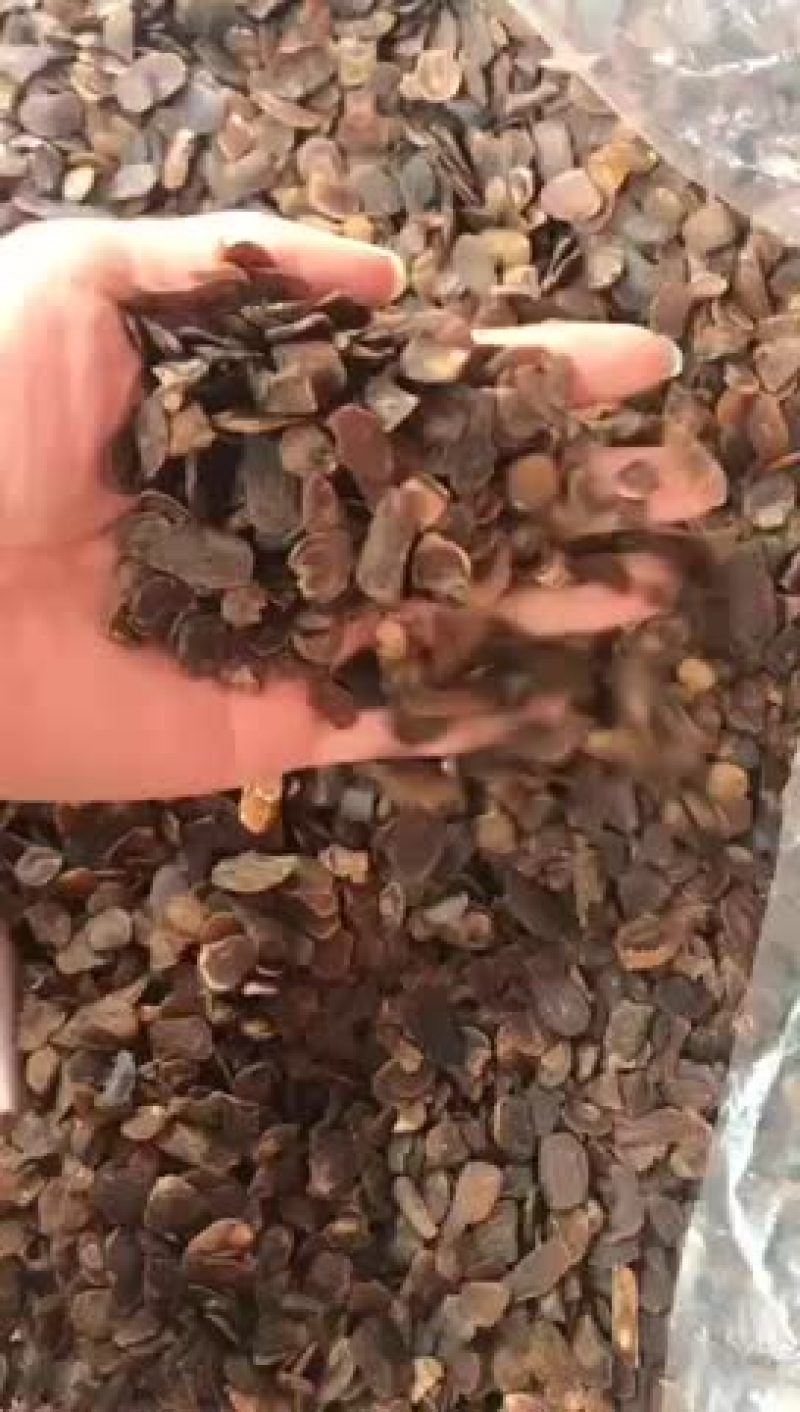 长白山无糖老红参皮片长白山