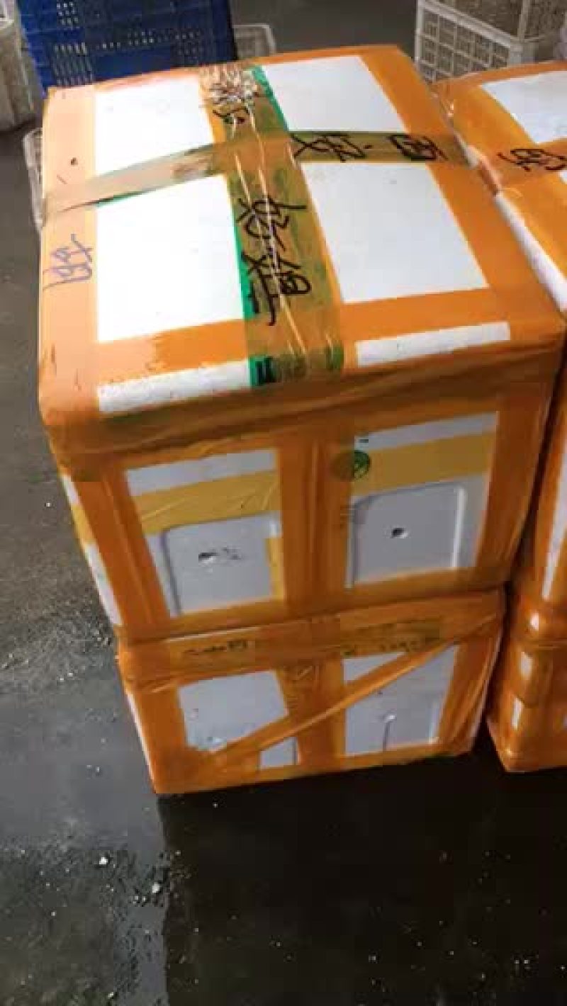 998湖北监利小龙虾