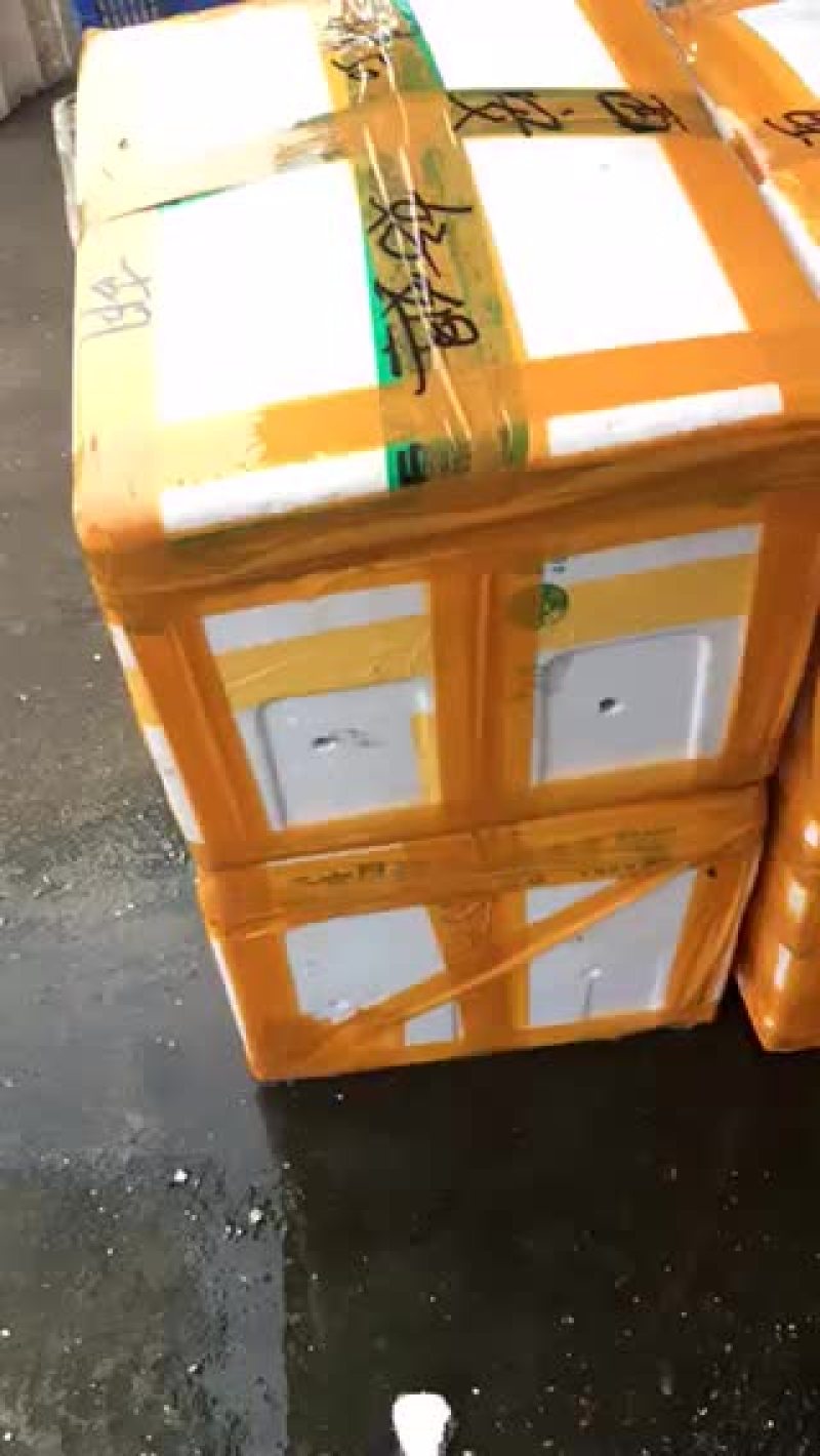 998湖北监利小龙虾