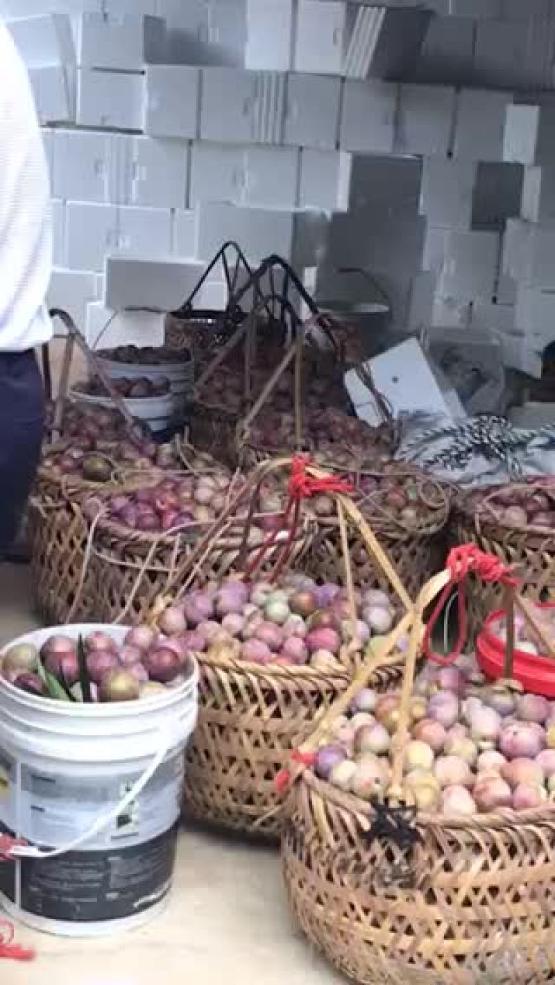 芙蓉李