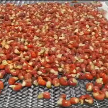 龙虾尾