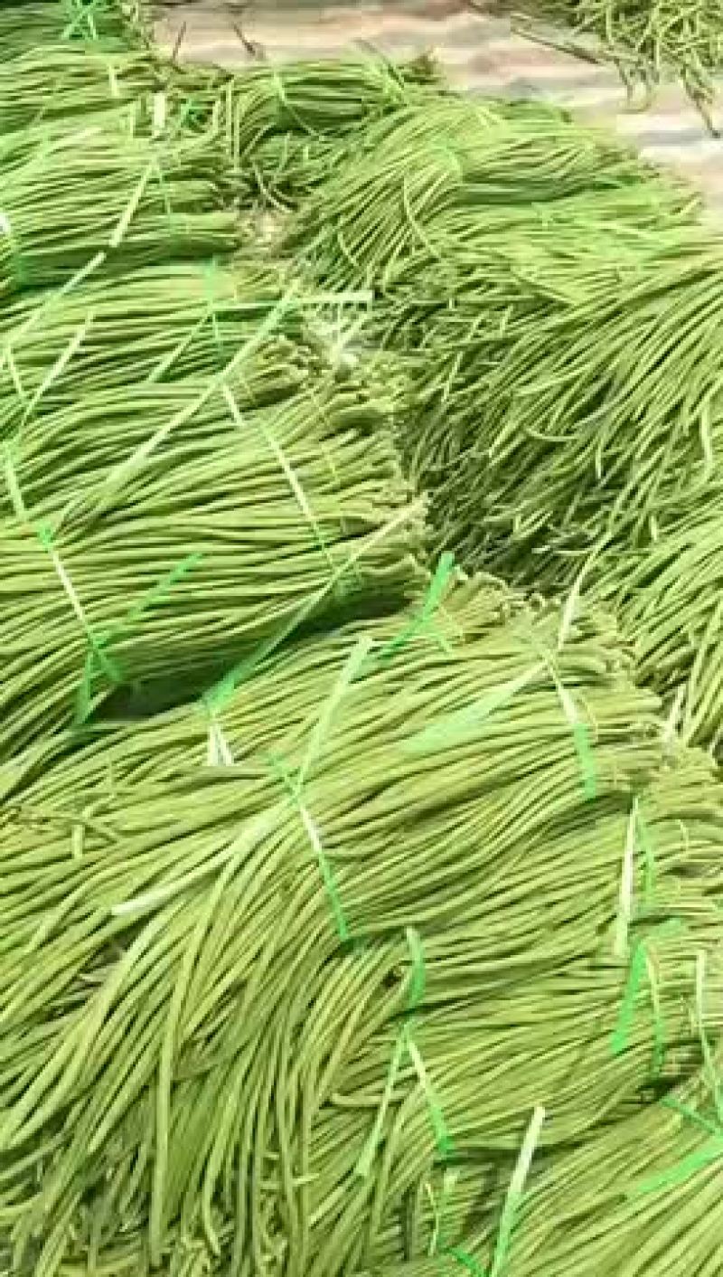长豆角，品质好，货源充足，全国代发，需要的联系