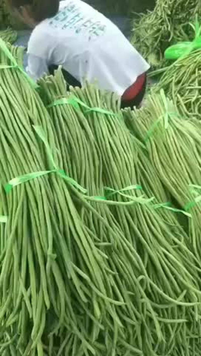 长豆角，品质好，货源充足，全国代发，需要的联系