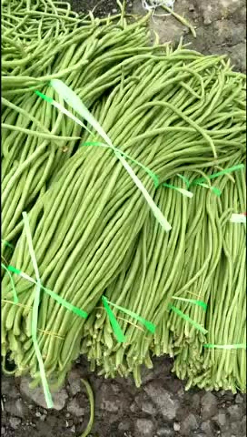 长豆角，品质好，货源充足，全国代发，需要的联系
