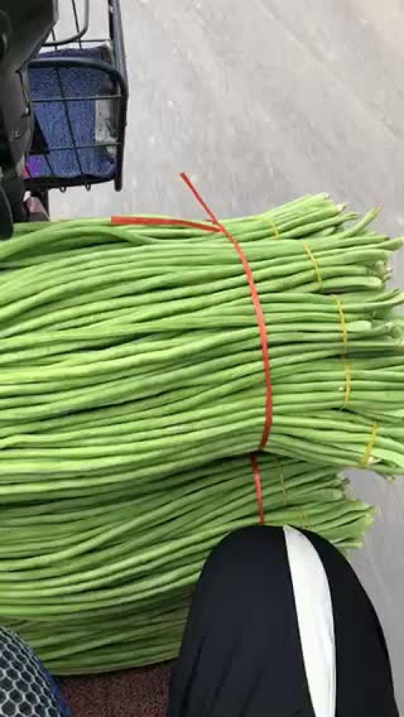 长豆角，品质好，货源充足，全国代发，需要的联系
