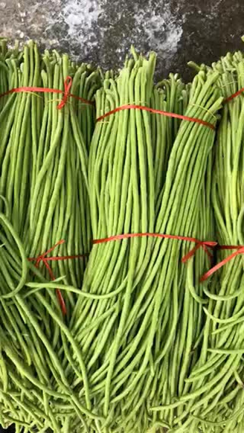 长豆角，品质好，货源充足，全国代发，需要的联系