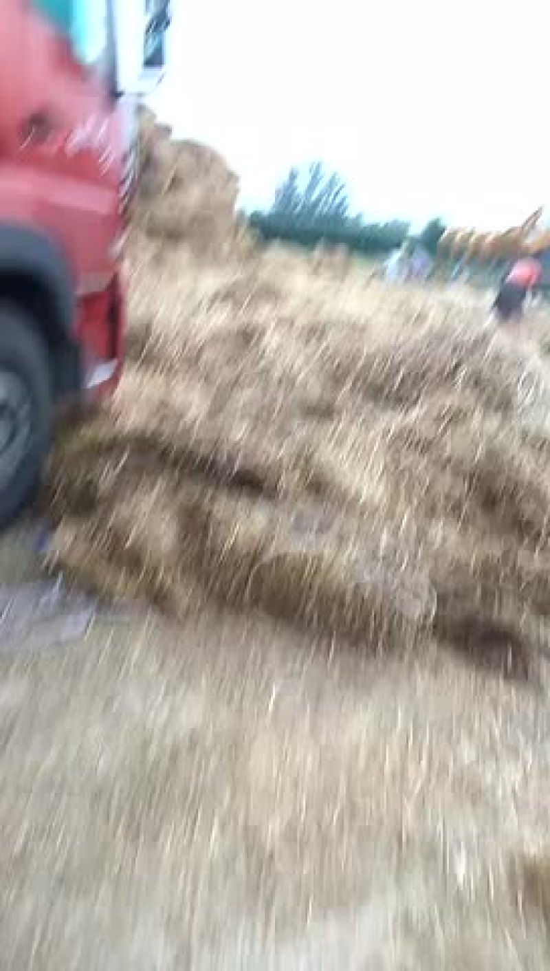 小麦秸秆