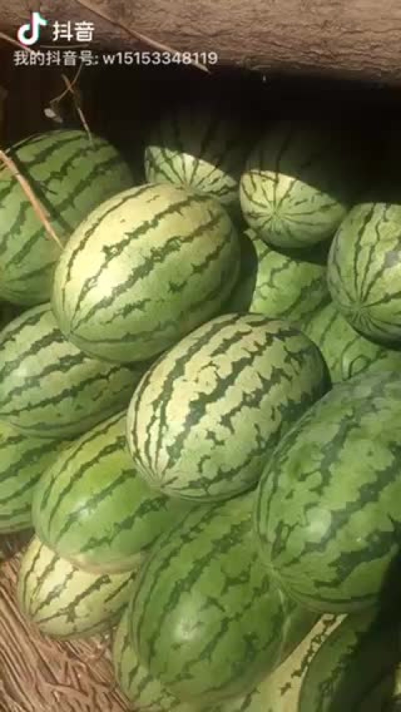 西瓜0.32