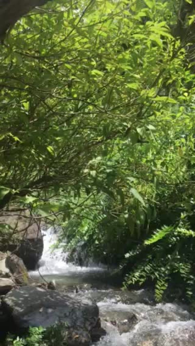 水果