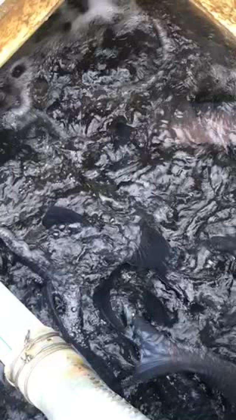 青鱼10➕15➕20➕