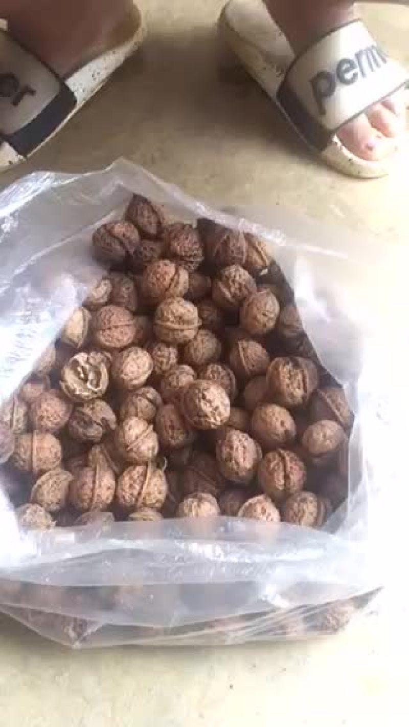 榨油铁核桃