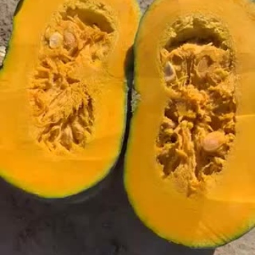 板栗南瓜
