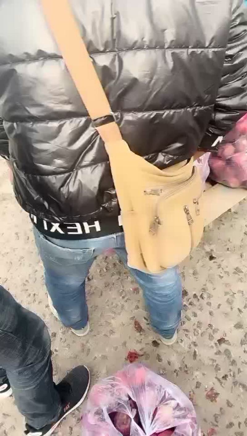 花牛