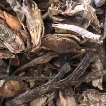 饲料级小杂鱼干淡干.咸鱼干