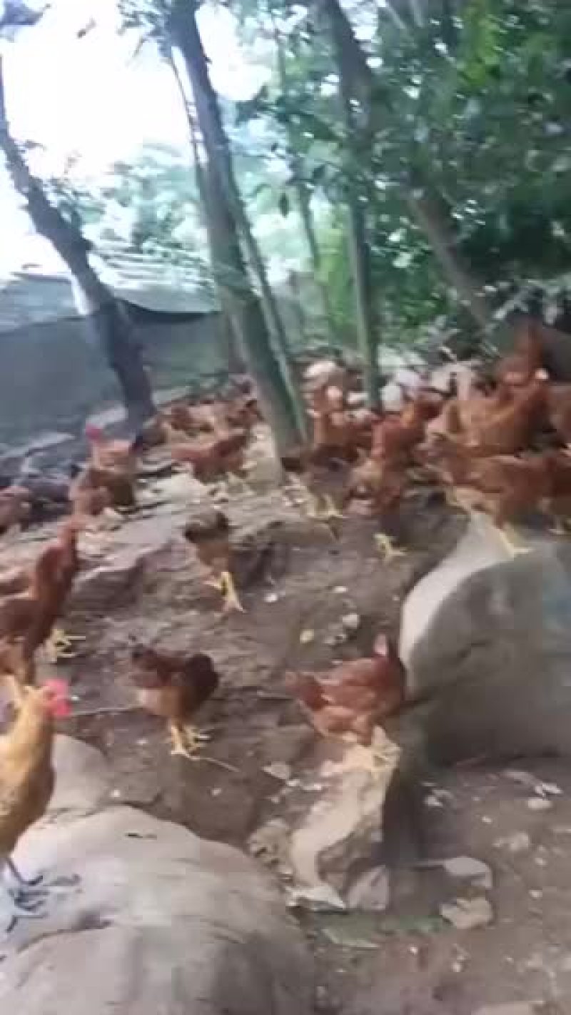 零售批发