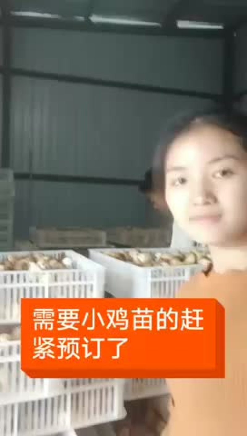 零售批发