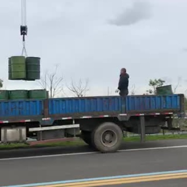 蜂蜜