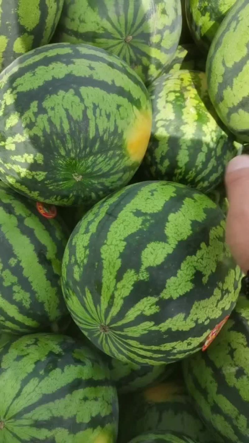 甜王精品甜王西瓜，电商、批发商，质量好，糖度高，肉细腻甜