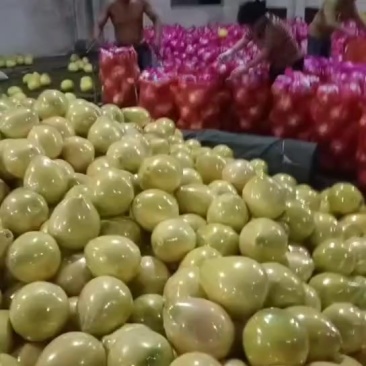 【湖北】红心柚精品蜜柚产地直发大量有货物美价廉