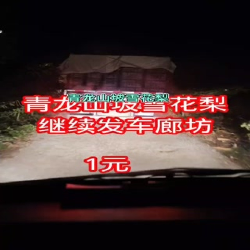 青龙山坡雪花梨