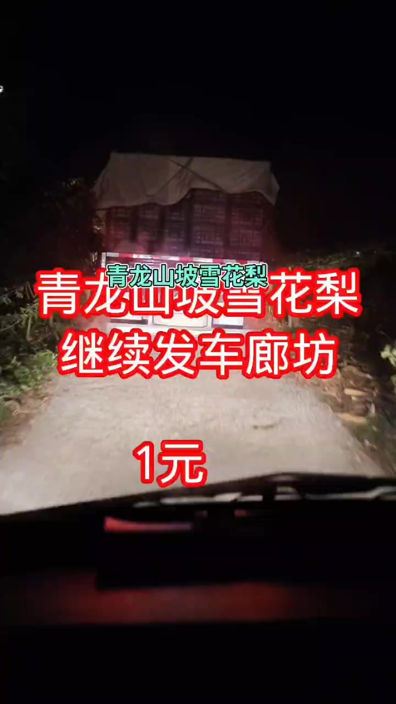 青龙山坡雪花梨