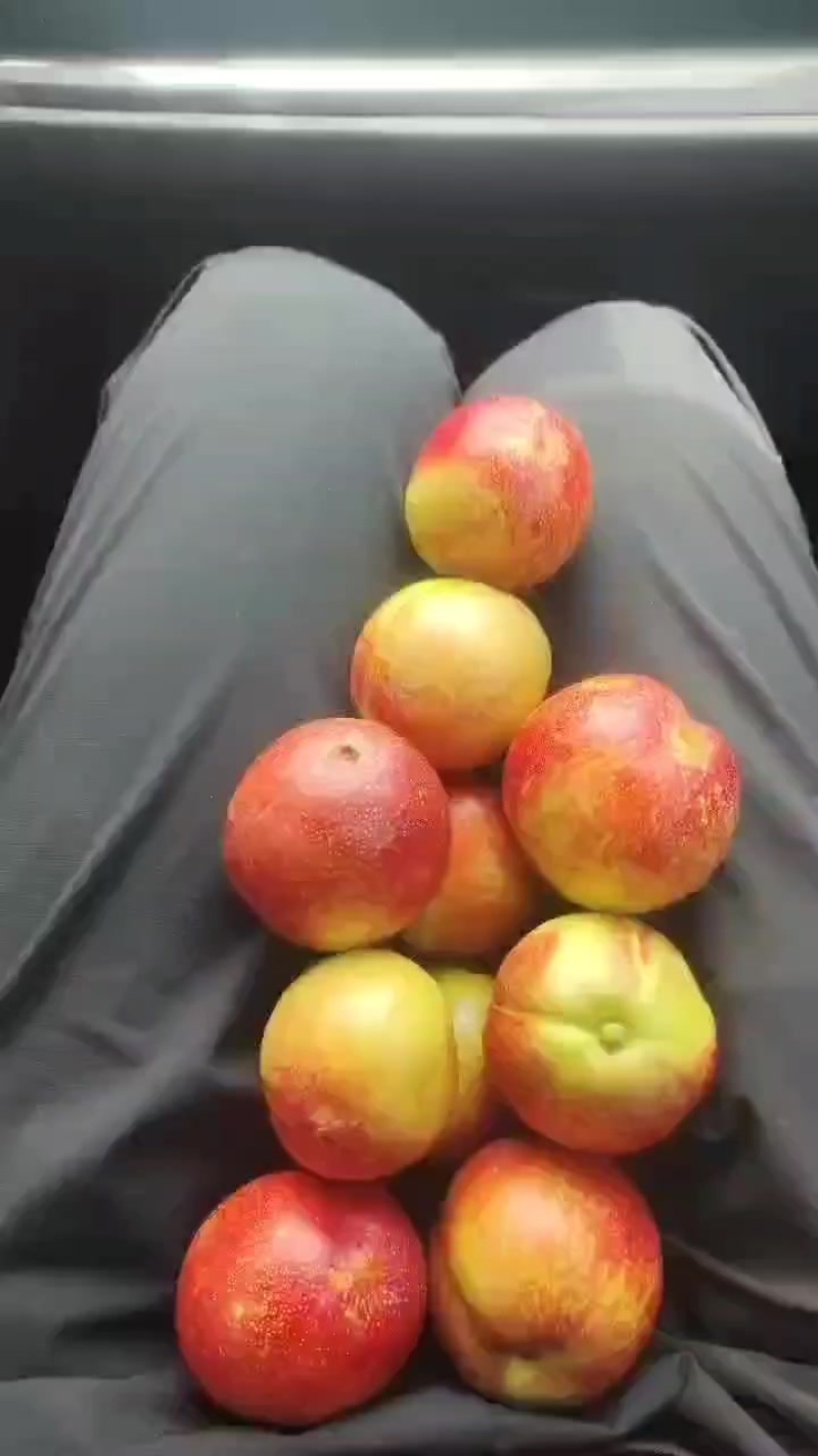 油桃湖北大量产地现货批发，现摘现发，对接电商市场批发商