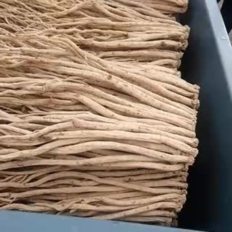 白条党参干货大条