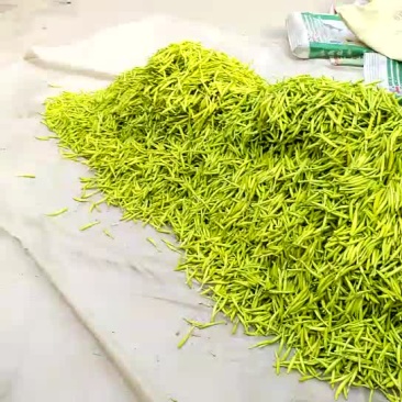 四月花黄花菜袋装一级