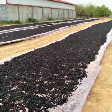 桑葚干产地直供欢迎选购量大从优！