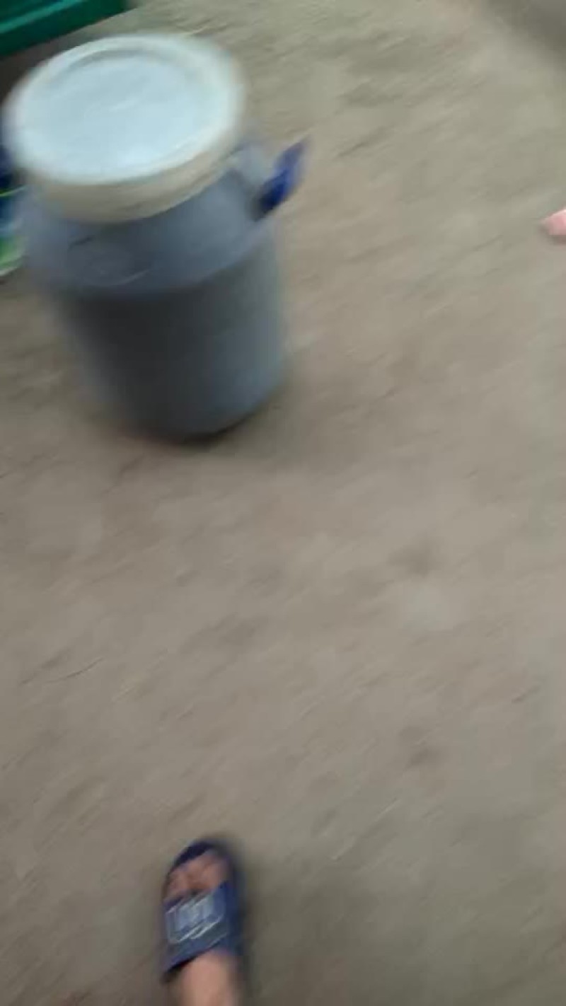 知了野生