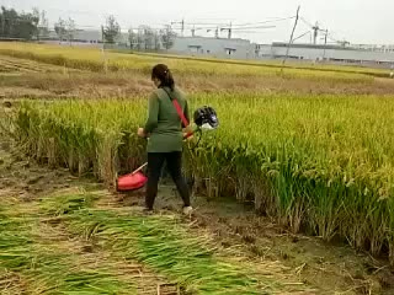 收割机3年包换，5年包修