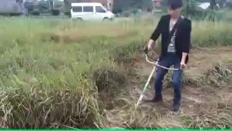 收割机3年包换，5年包修