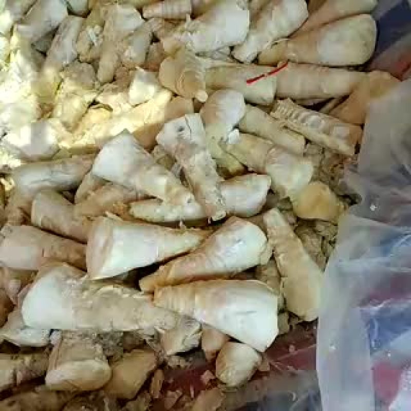 干笋