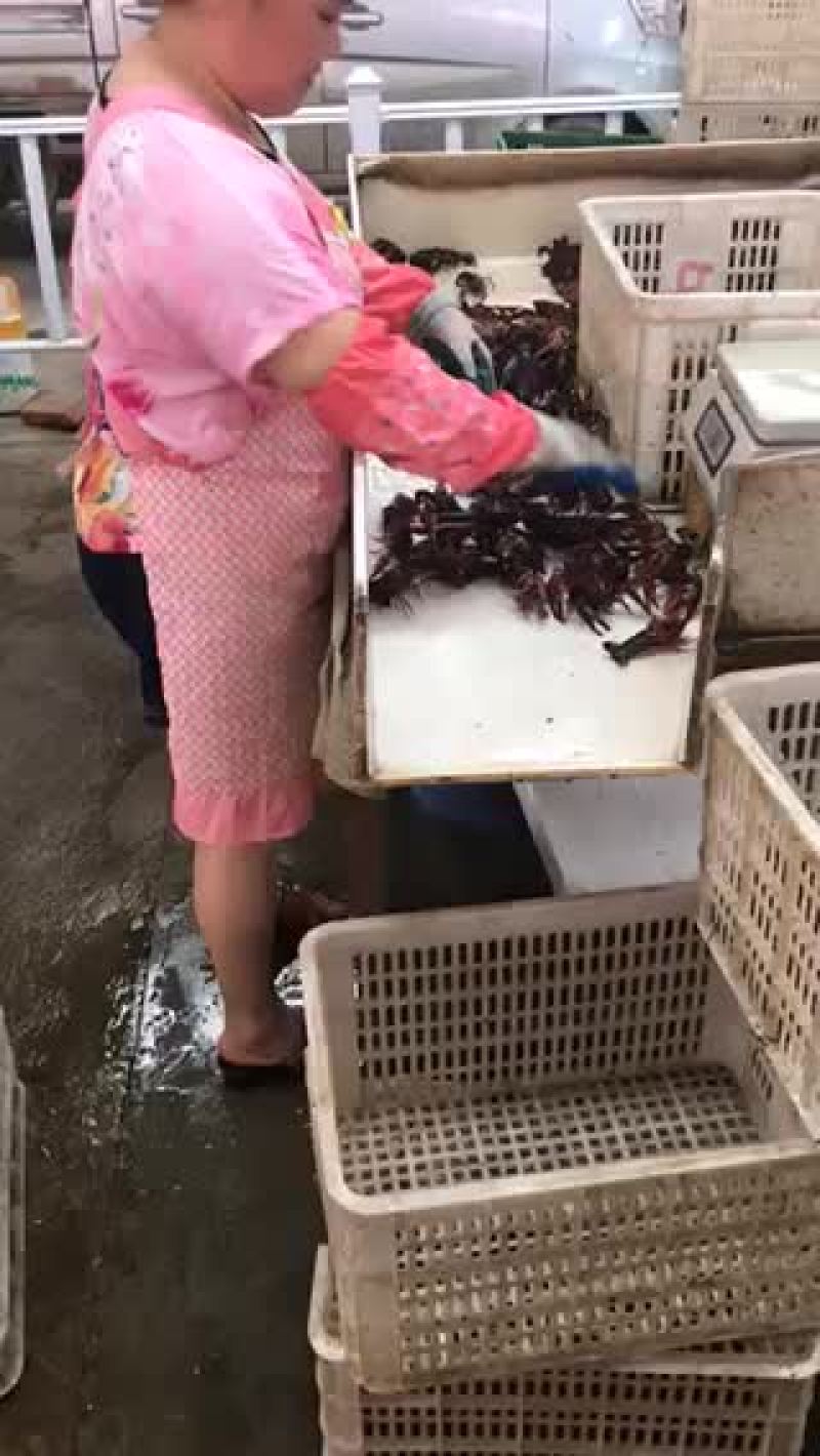 湖虾食用6-8钱（30-40克）活虾小龙虾主养