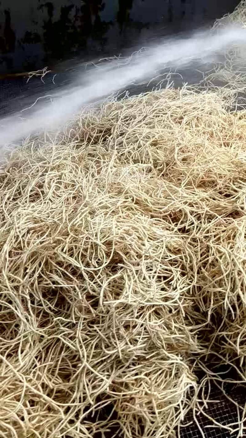 鱼腥草塑料袋