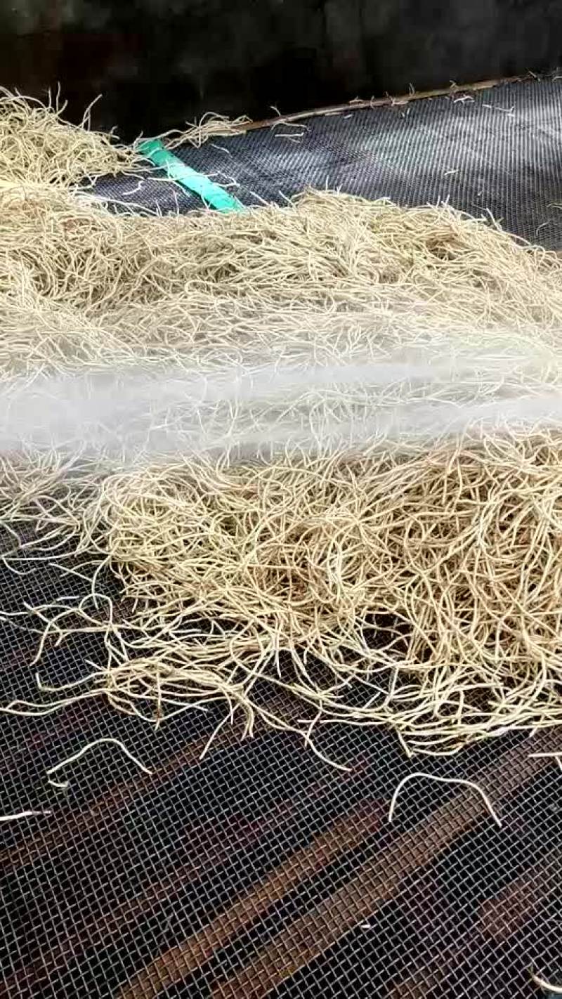 鱼腥草塑料袋